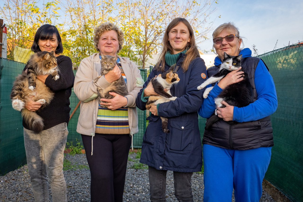 Galina, Táňa, Veronika, Olena
