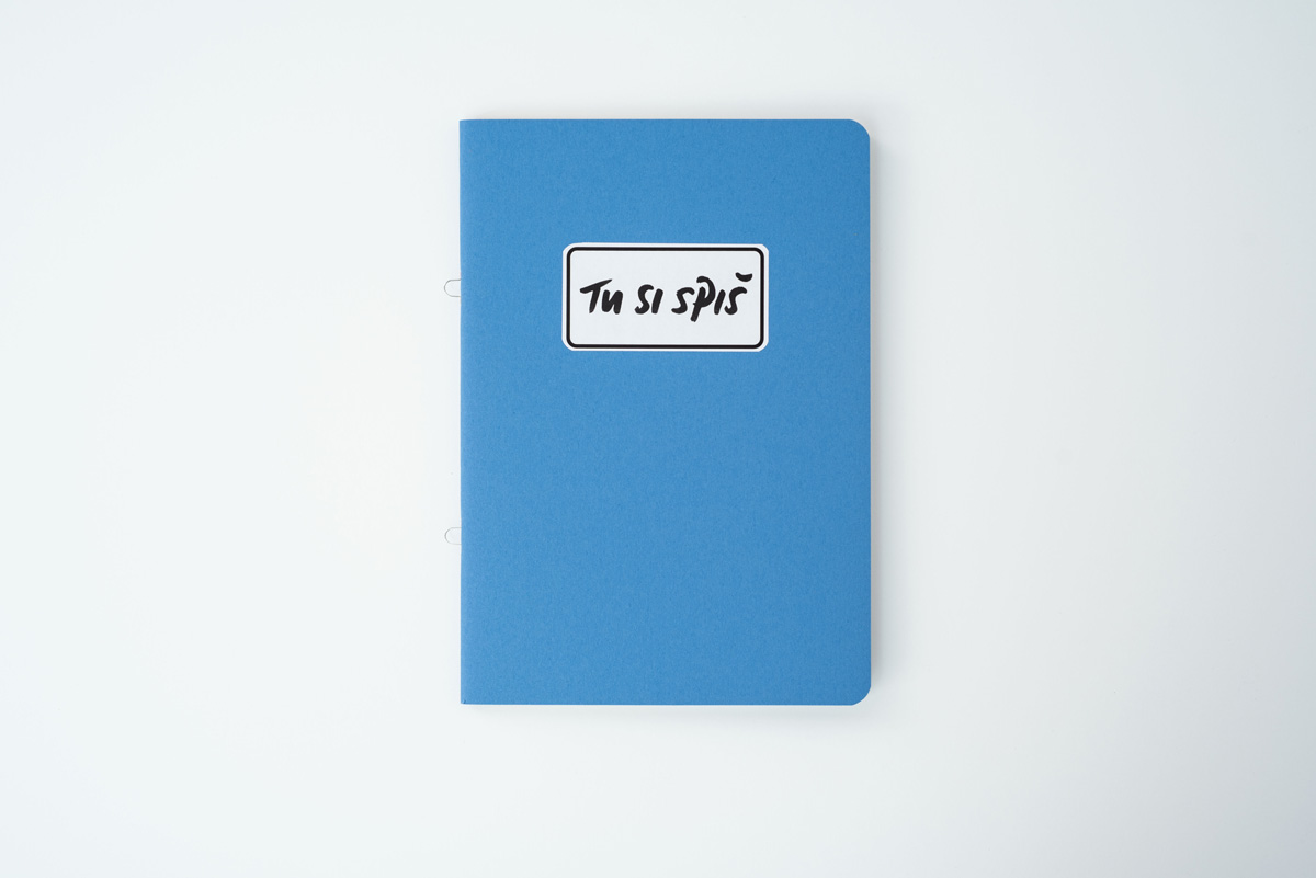 suvenir contemporary art & craft